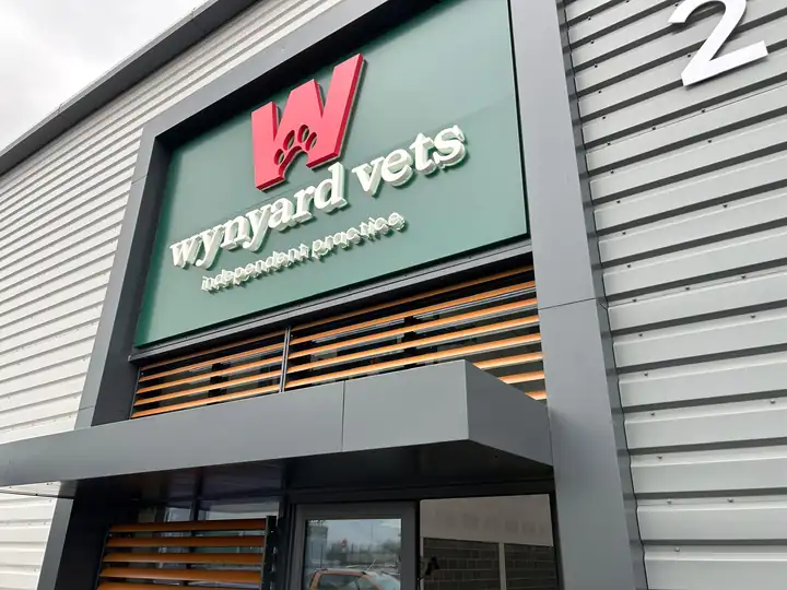 3D Built-Up Letters & Logos